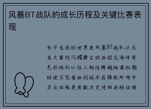 风暴BT战队的成长历程及关键比赛表现