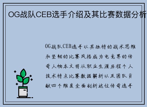 OG战队CEB选手介绍及其比赛数据分析